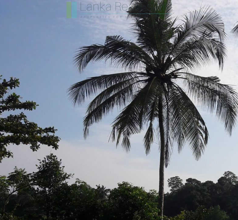 Hotel development site on Koggala Lake