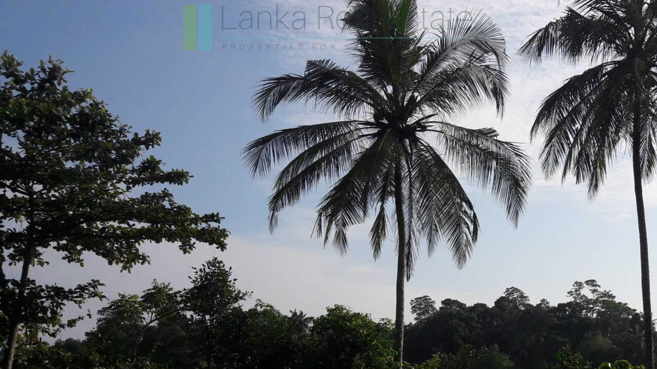 Hotel development site on Koggala Lake