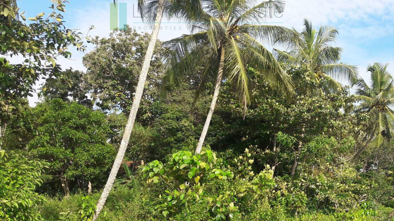 Hotel development site on Koggala Lake