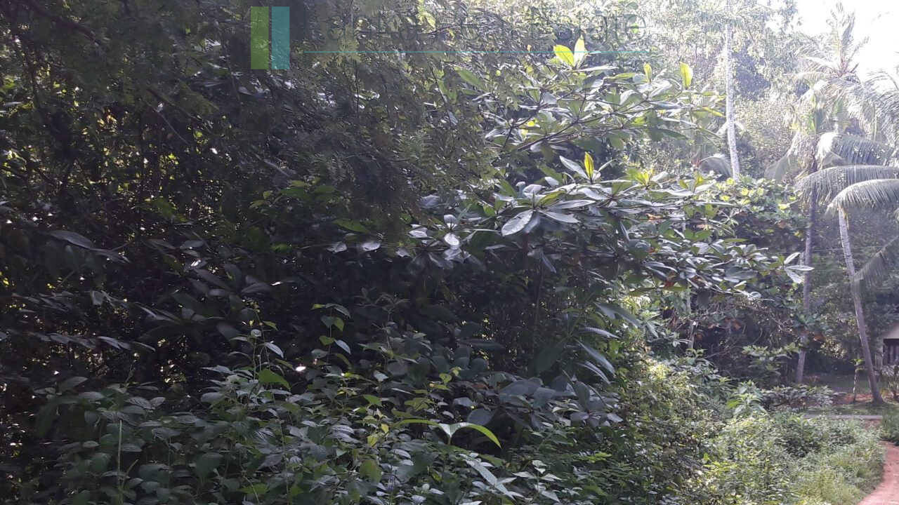 Hotel development site on Koggala Lake