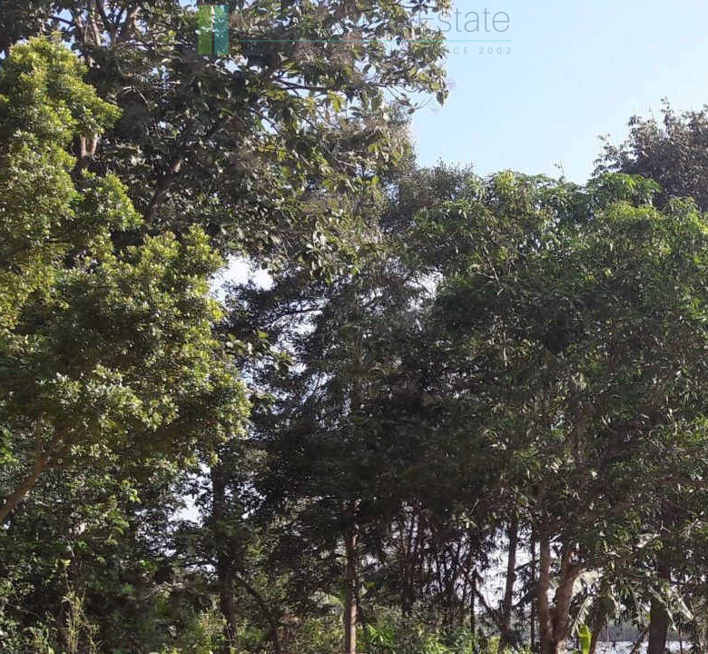 Hotel development site on Koggala Lake