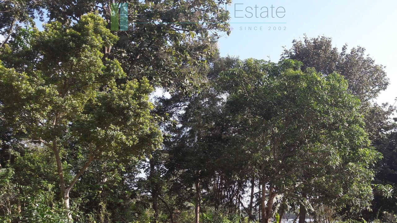 Hotel development site on Koggala Lake