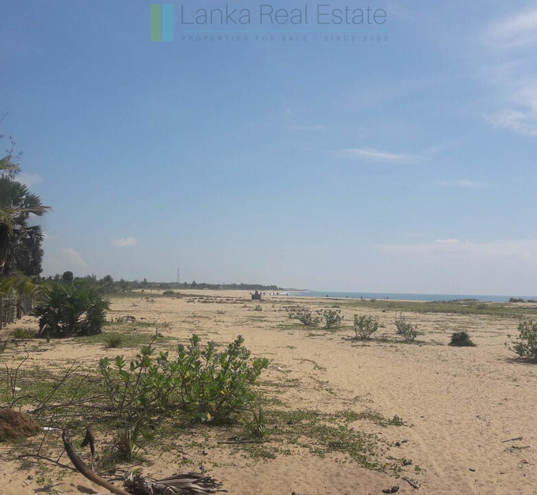 Development plot near Whisky Point