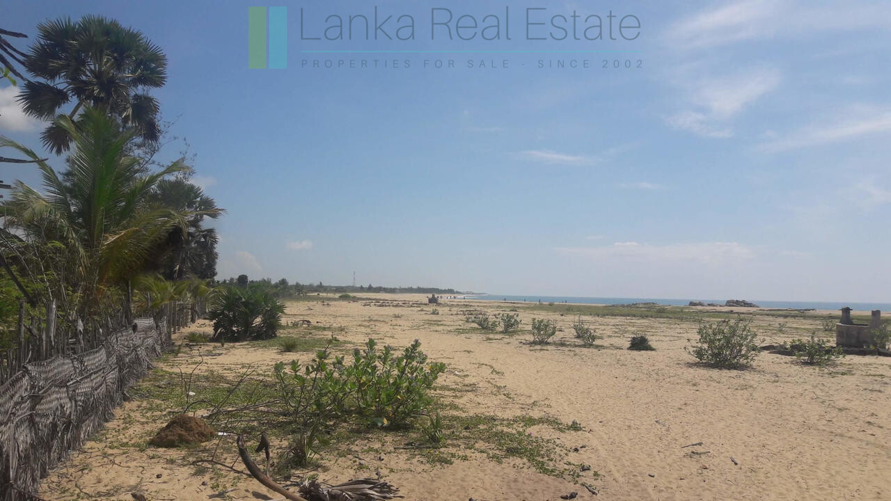 Development plot near Whisky Point