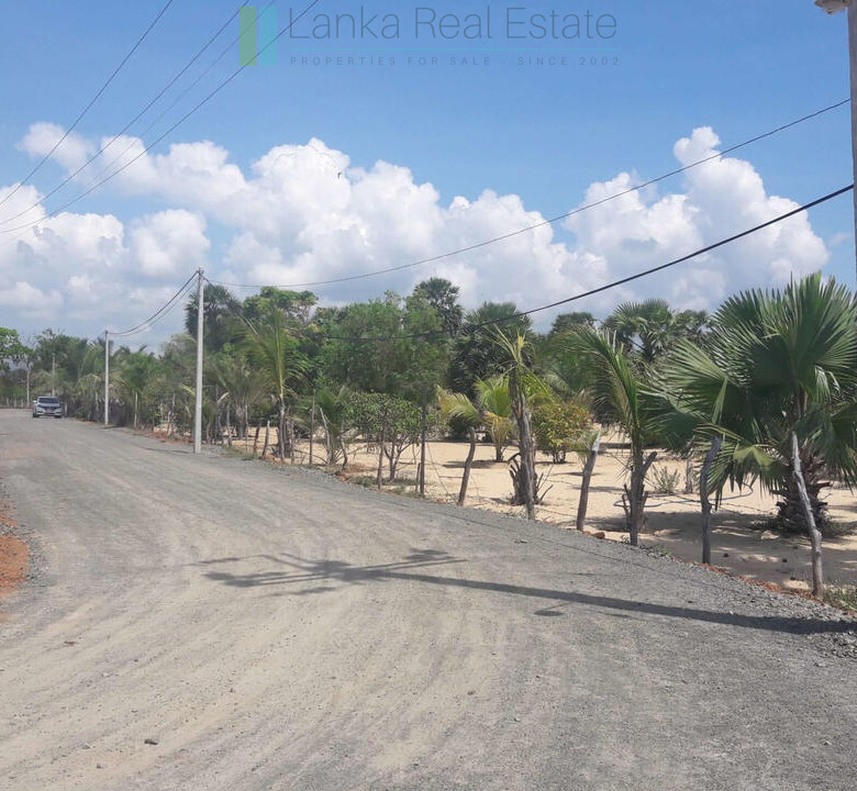 Development plot near Whisky Point