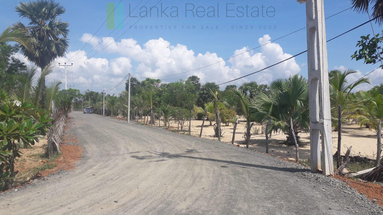 Development plot near Whisky Point