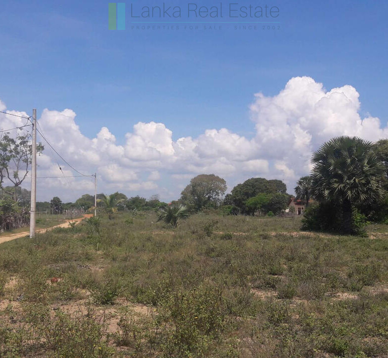 Development plot near Whisky Point