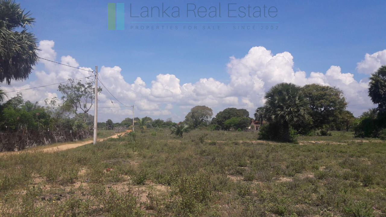 Development plot near Whisky Point