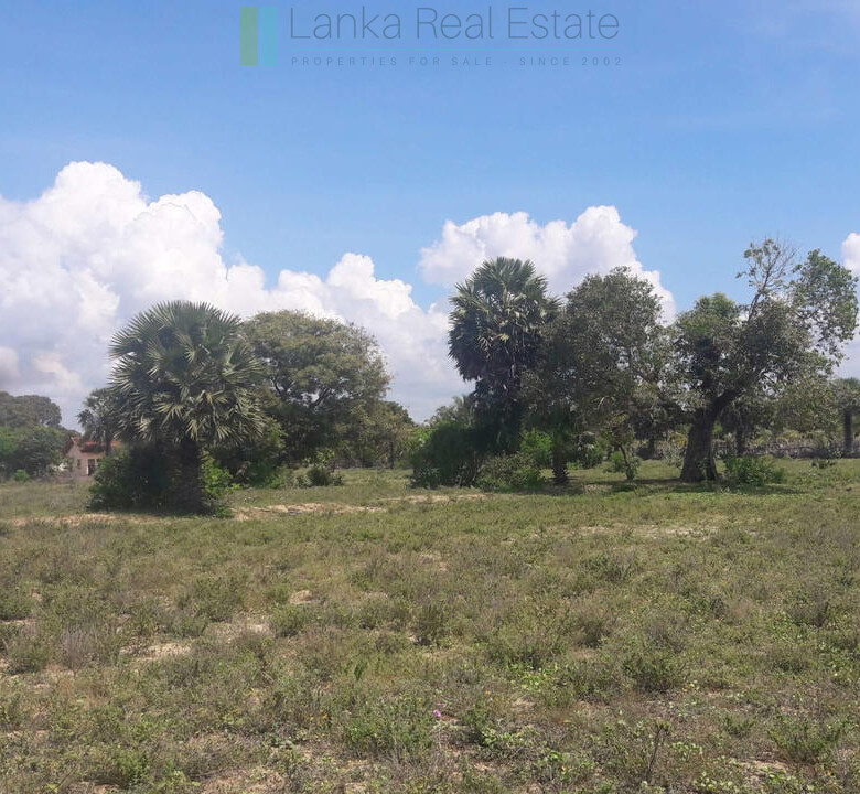 Development plot near Whisky Point