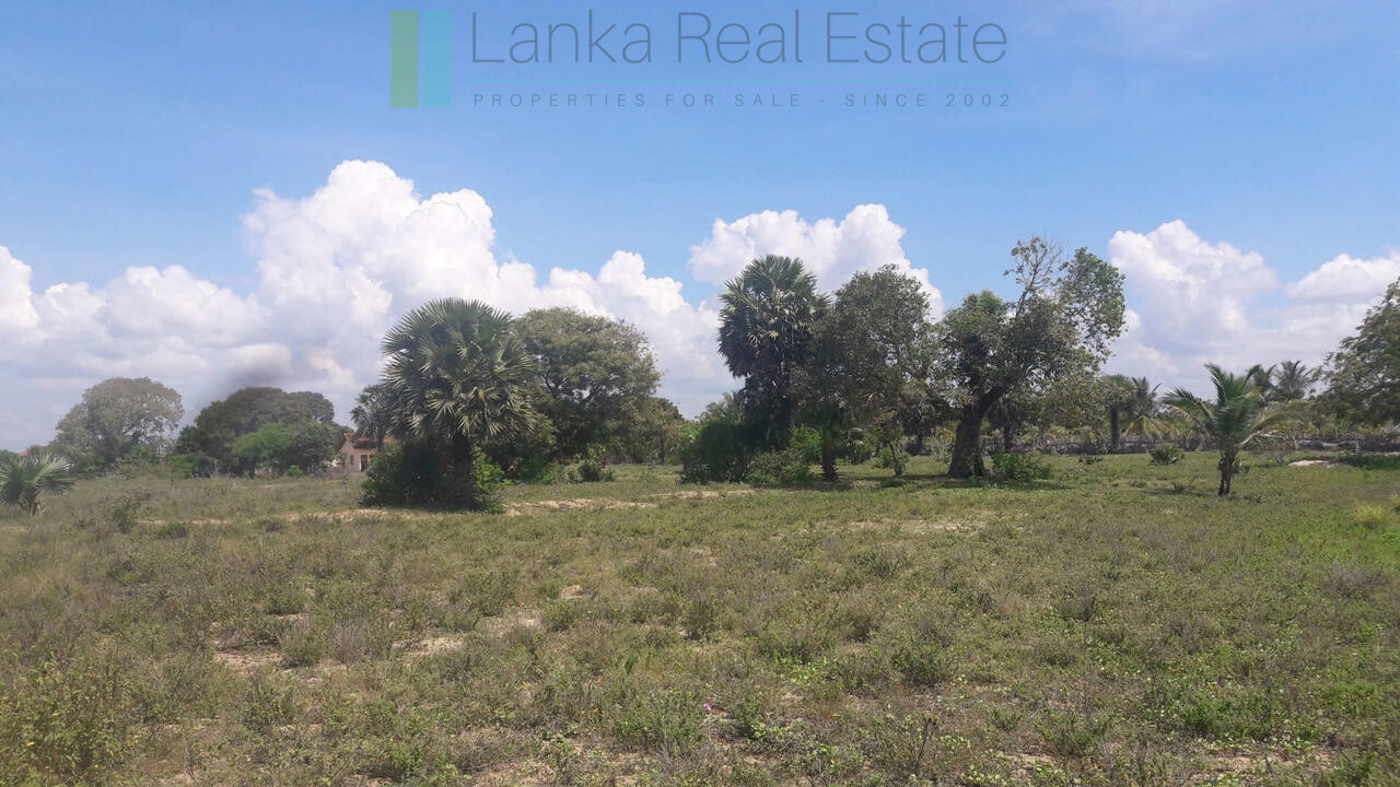 Development plot near Whisky Point