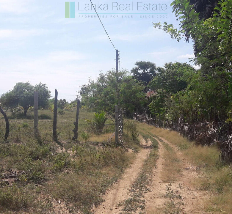 Development plot near Whisky Point