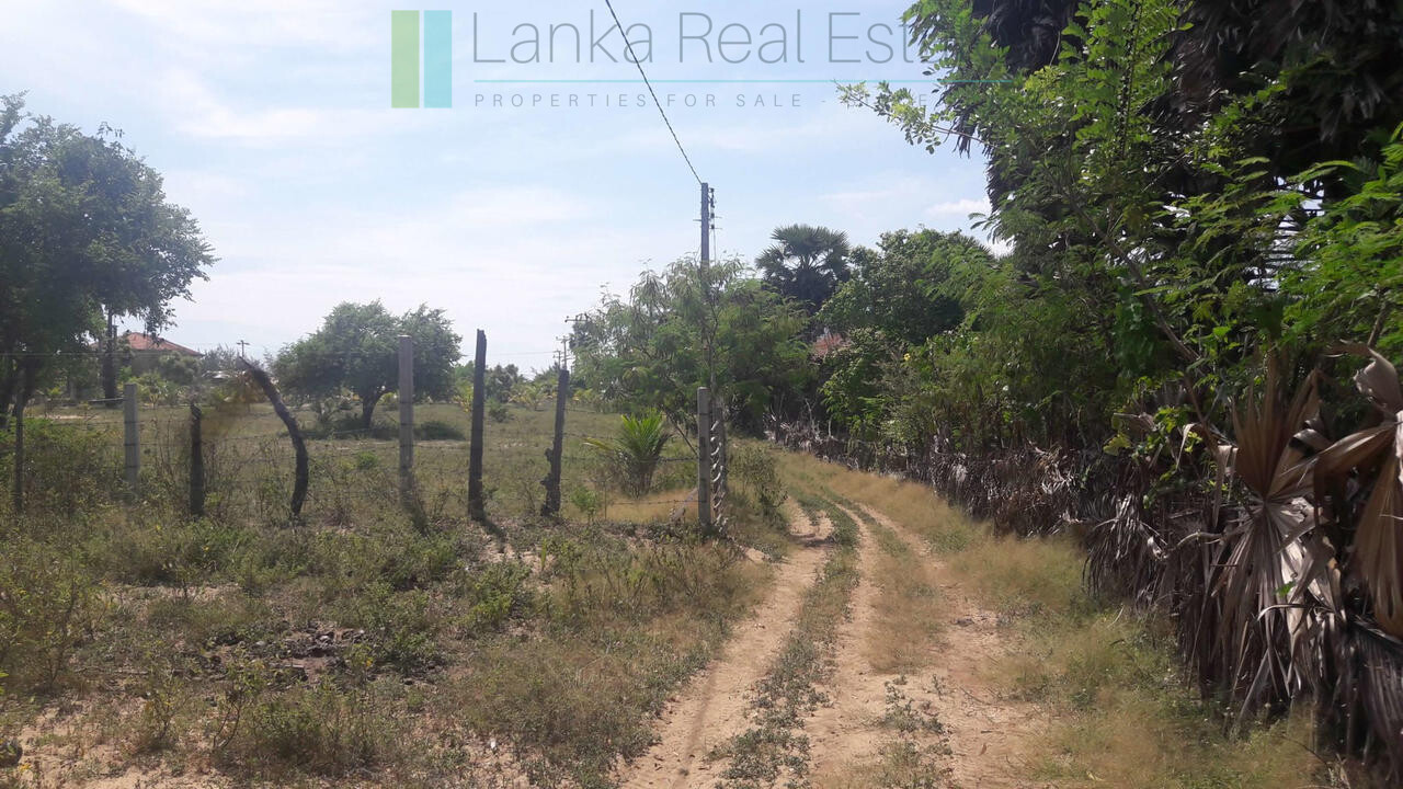 Development plot near Whisky Point