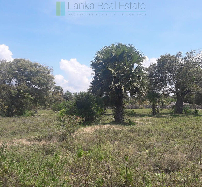 Development plot near Whisky Point