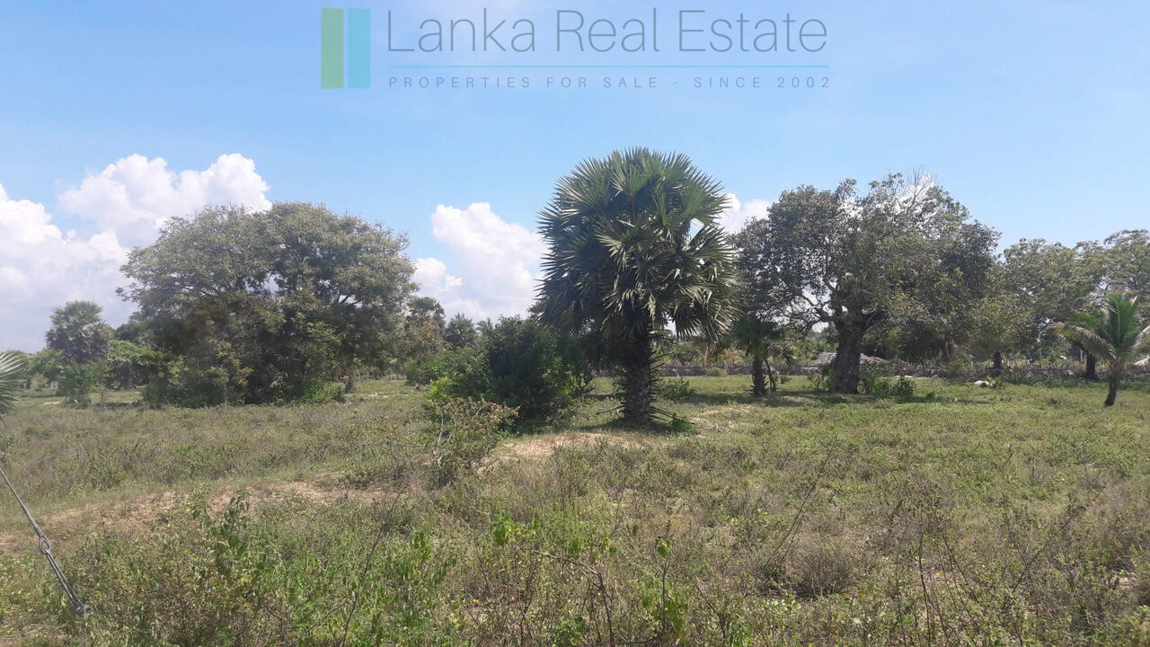 Development plot near Whisky Point