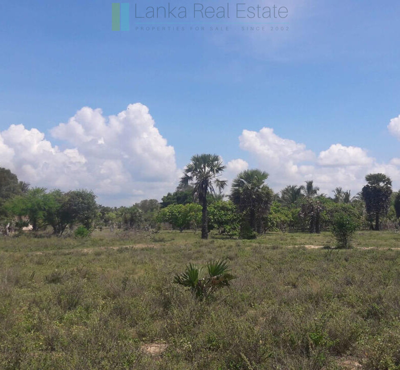Development plot near Whisky Point