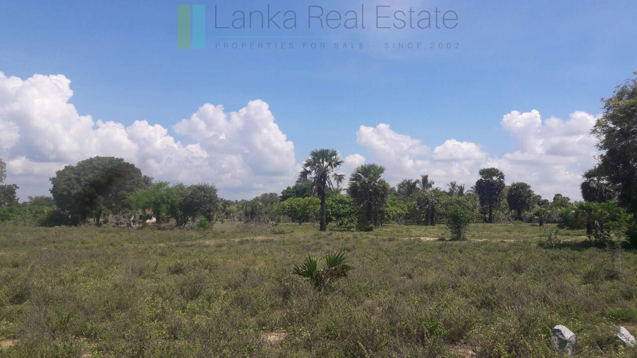 Development plot near Whisky Point