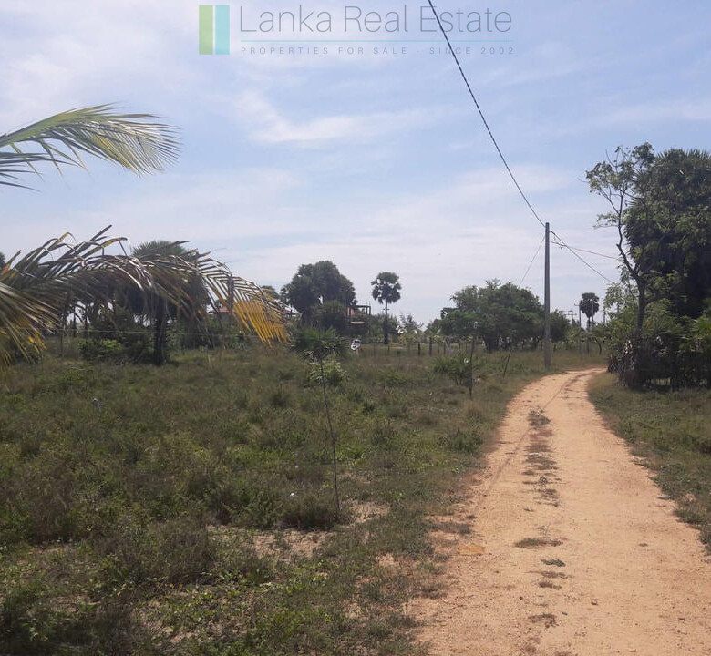 Development plot near Whisky Point