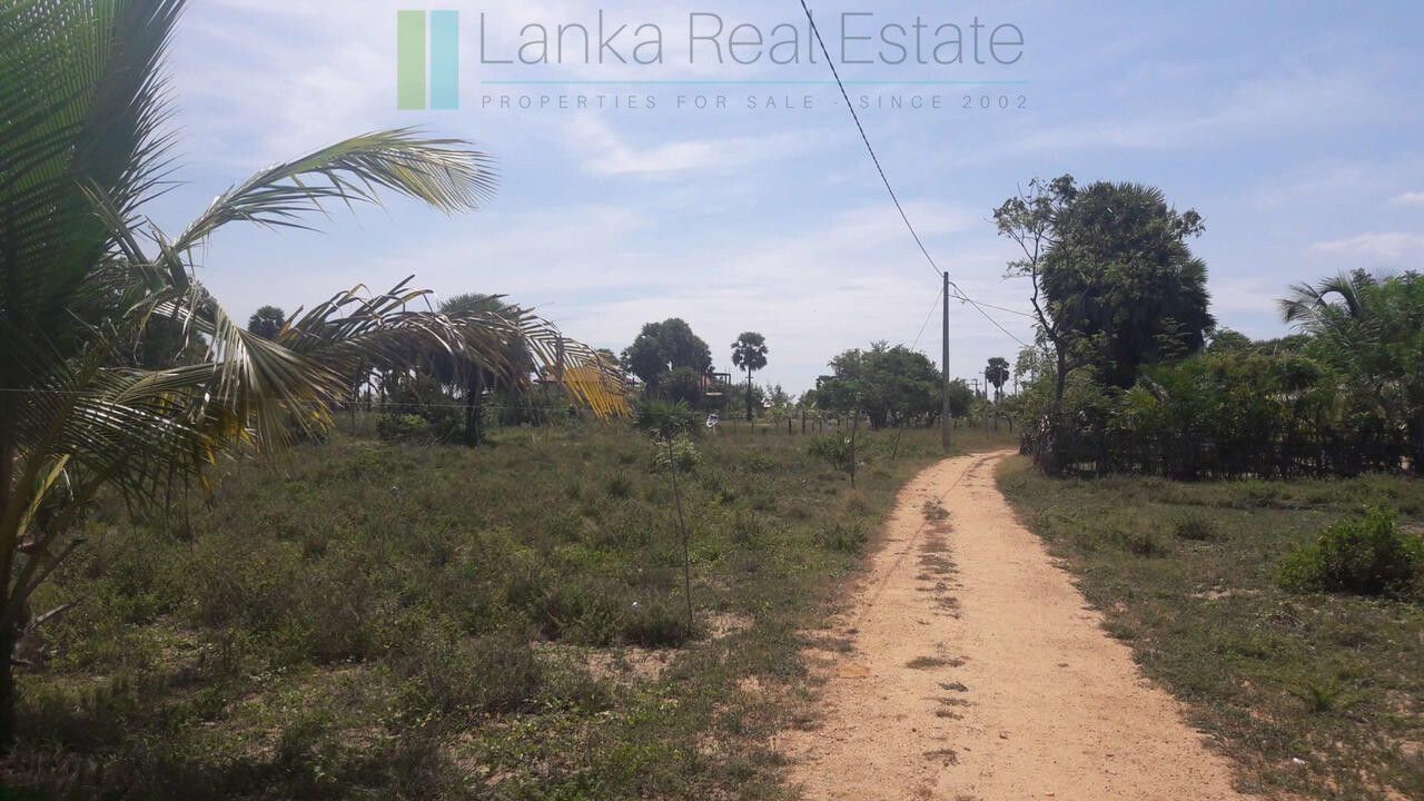 Development plot near Whisky Point