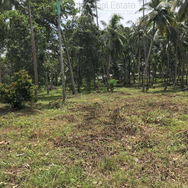 Huge clifftop development plot near Matara