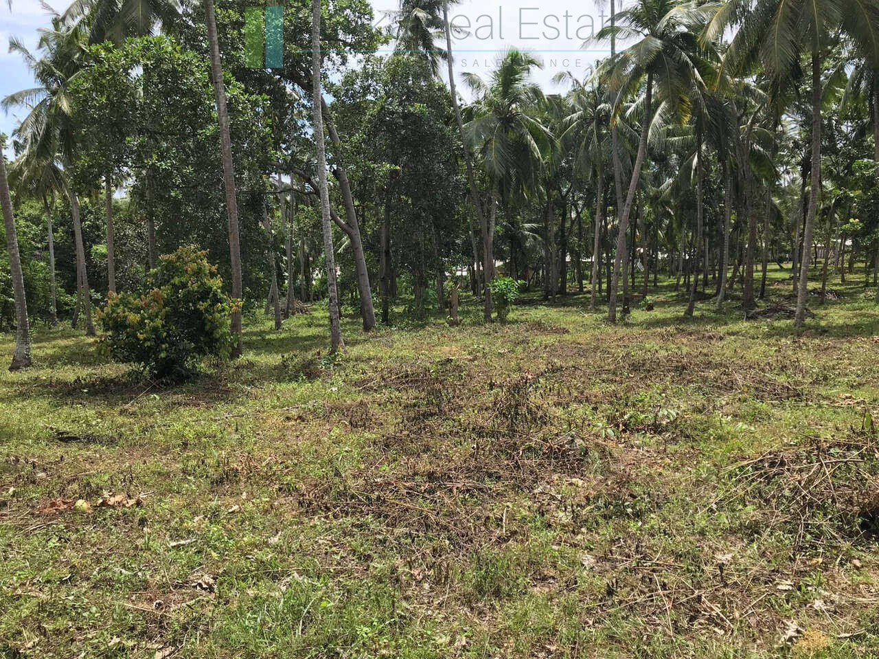 Huge clifftop development plot near Matara