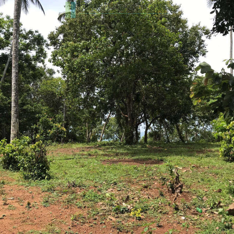 Huge clifftop development plot near Matara