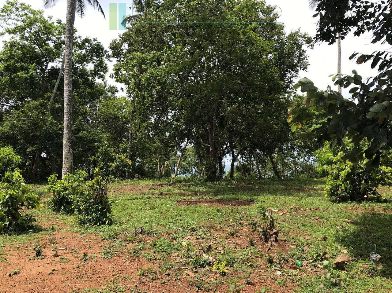 Huge clifftop development plot near Matara