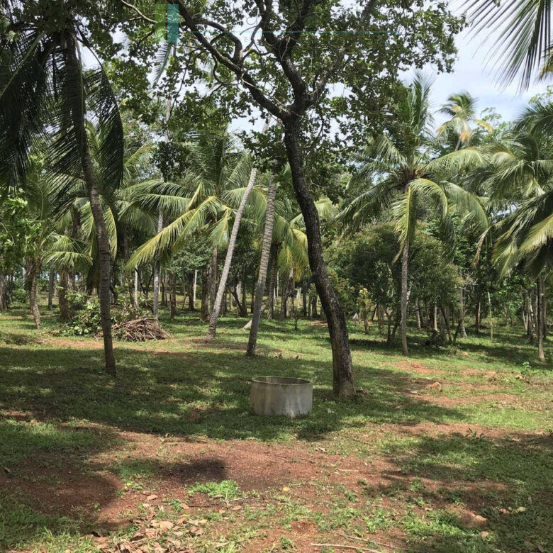 Huge clifftop development plot near Matara