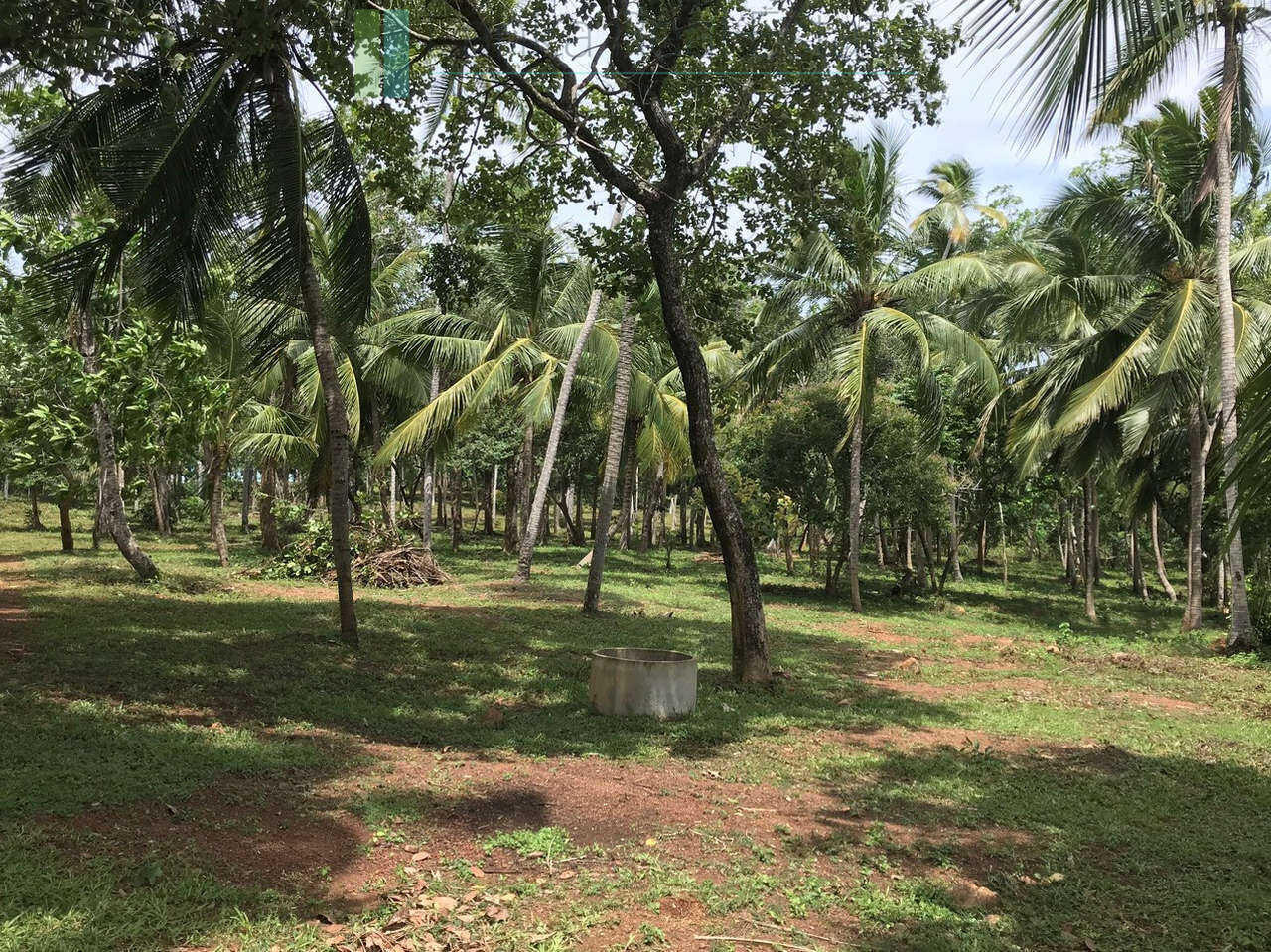 Huge clifftop development plot near Matara
