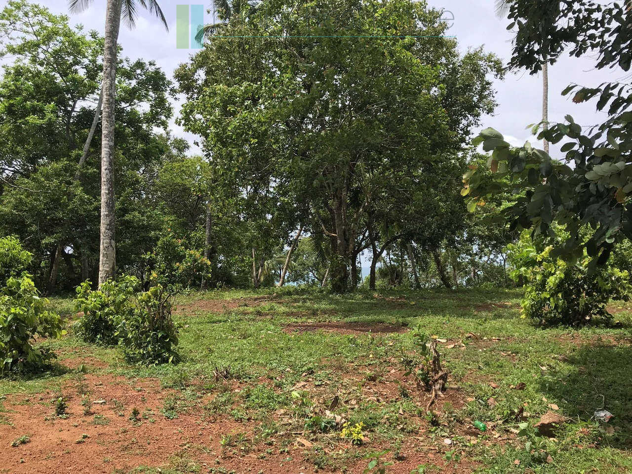 Huge clifftop development plot near Matara