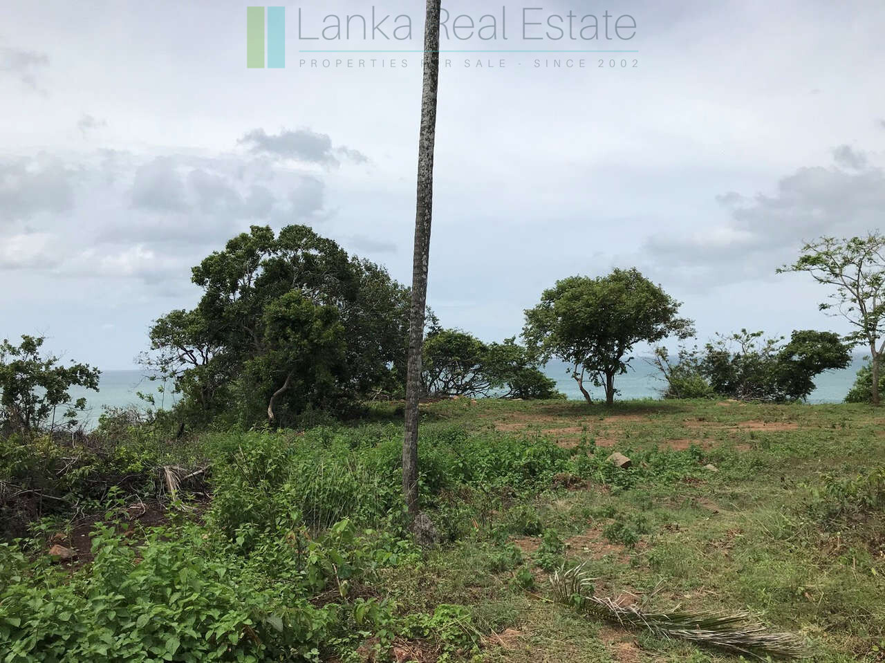 Huge clifftop development plot near Matara