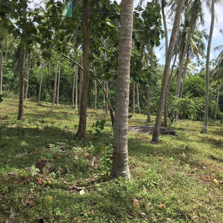 Huge clifftop development plot near Matara