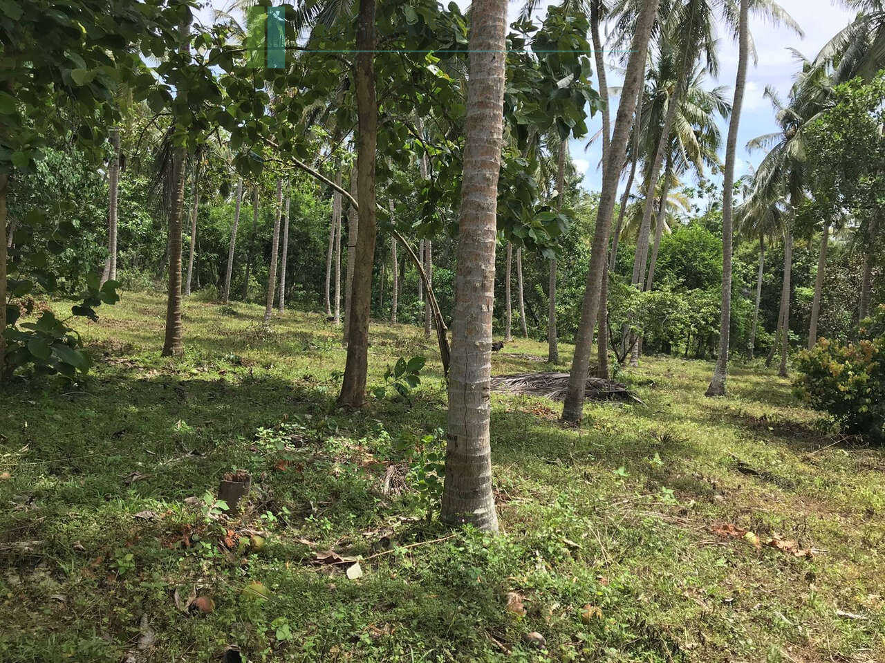Huge clifftop development plot near Matara