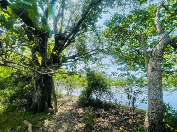Lakefront plot near Ranna Beach