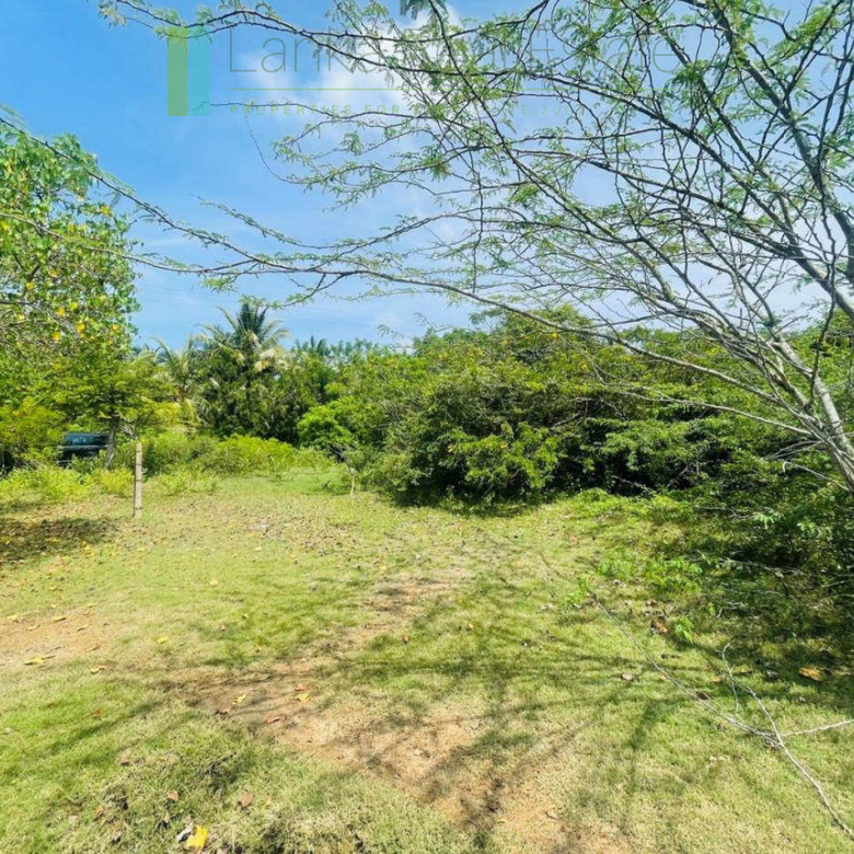 Lakefront plot near Ranna Beach