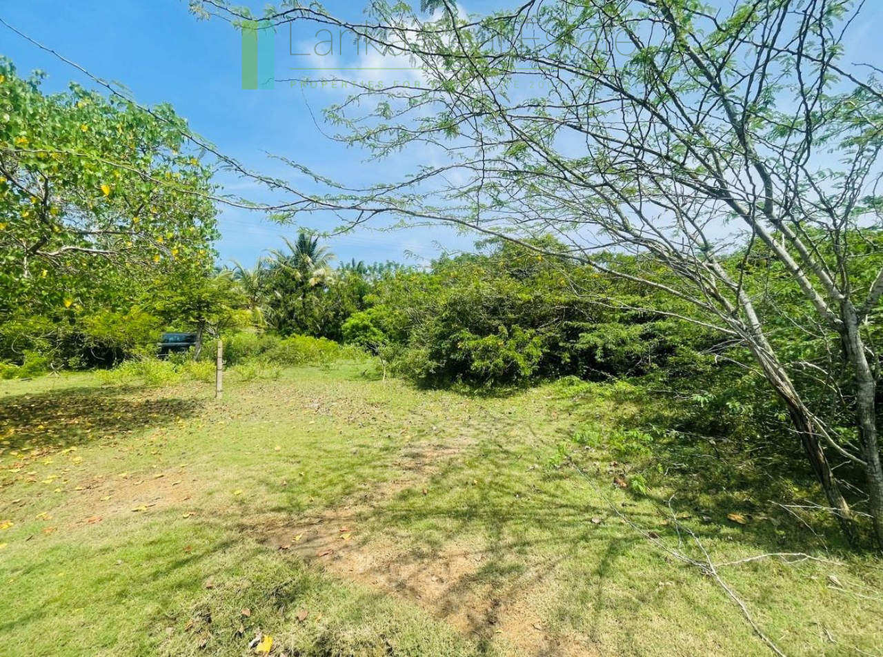 Lakefront plot near Ranna Beach