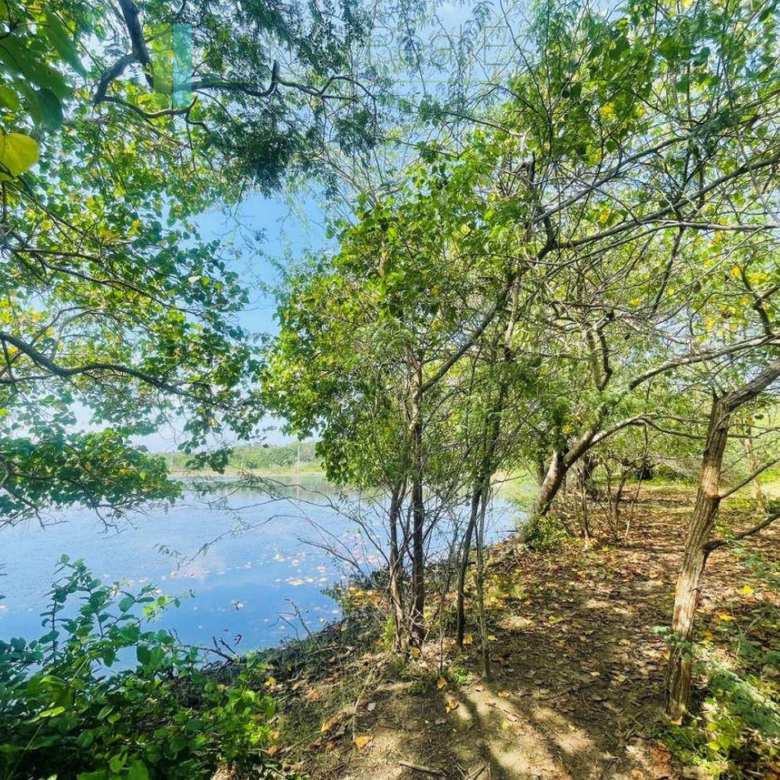 Lakefront plot near Ranna Beach