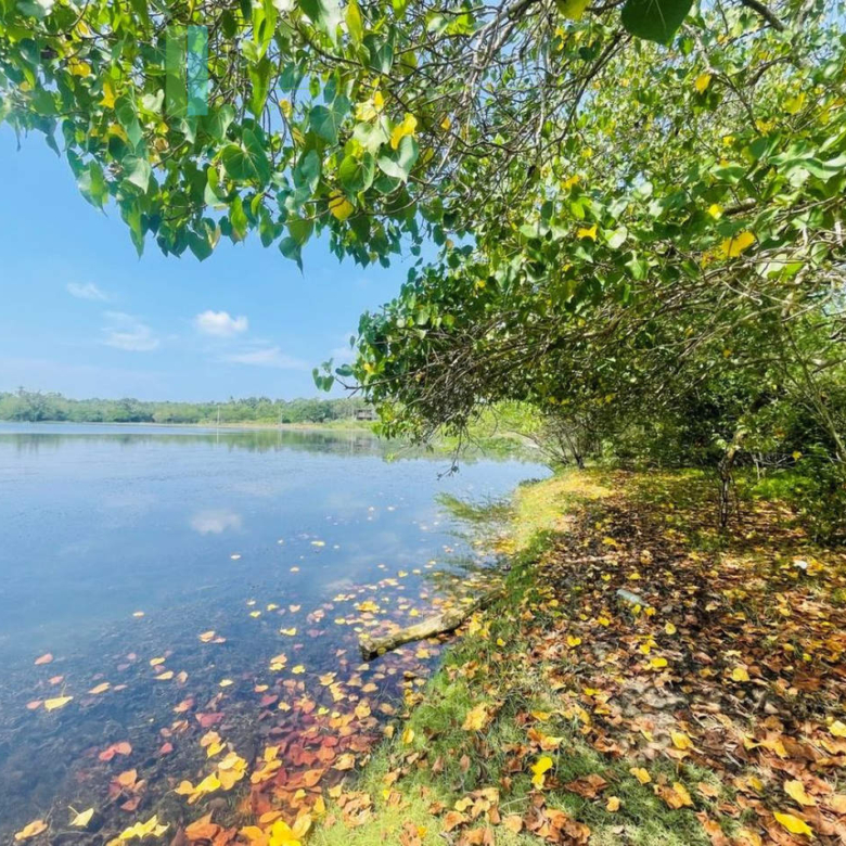 Lakefront plot near Ranna Beach