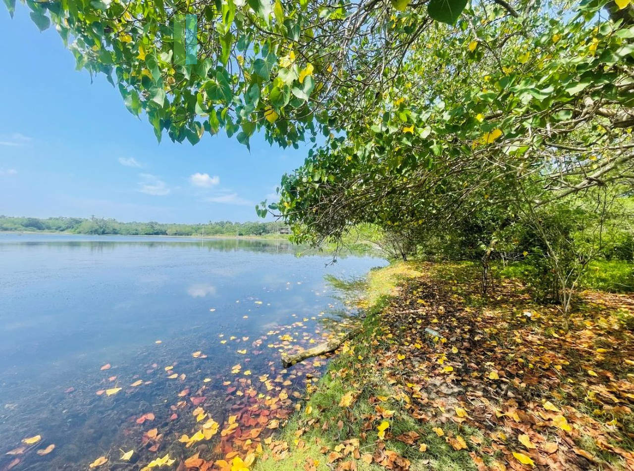 Lakefront plot near Ranna Beach