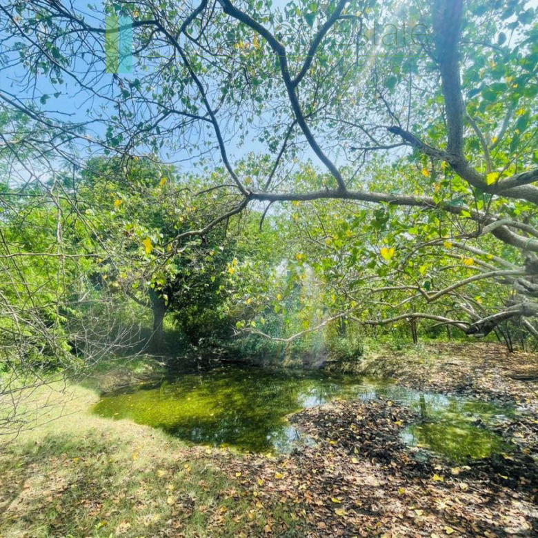 Lakefront plot near Ranna Beach