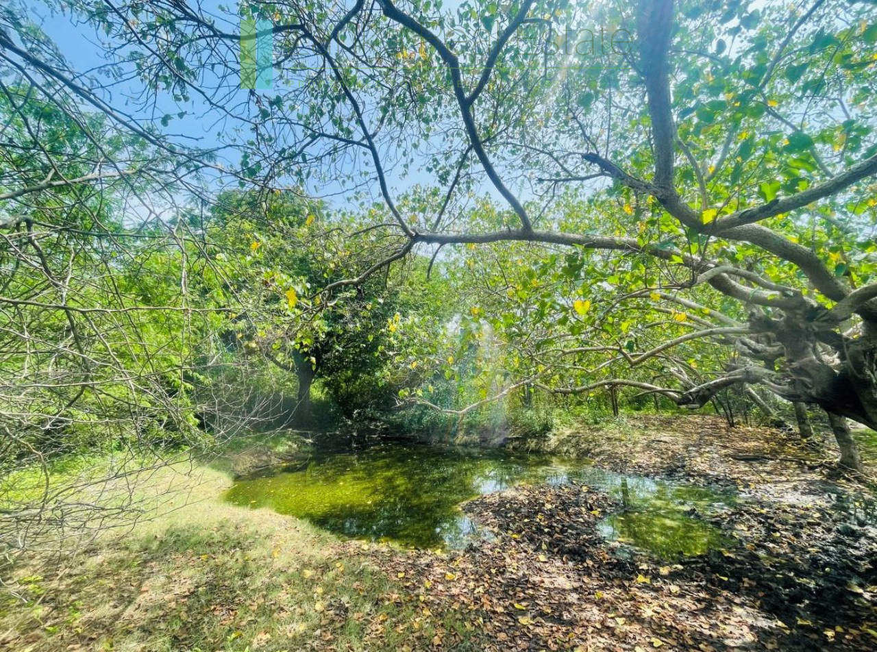 Lakefront plot near Ranna Beach