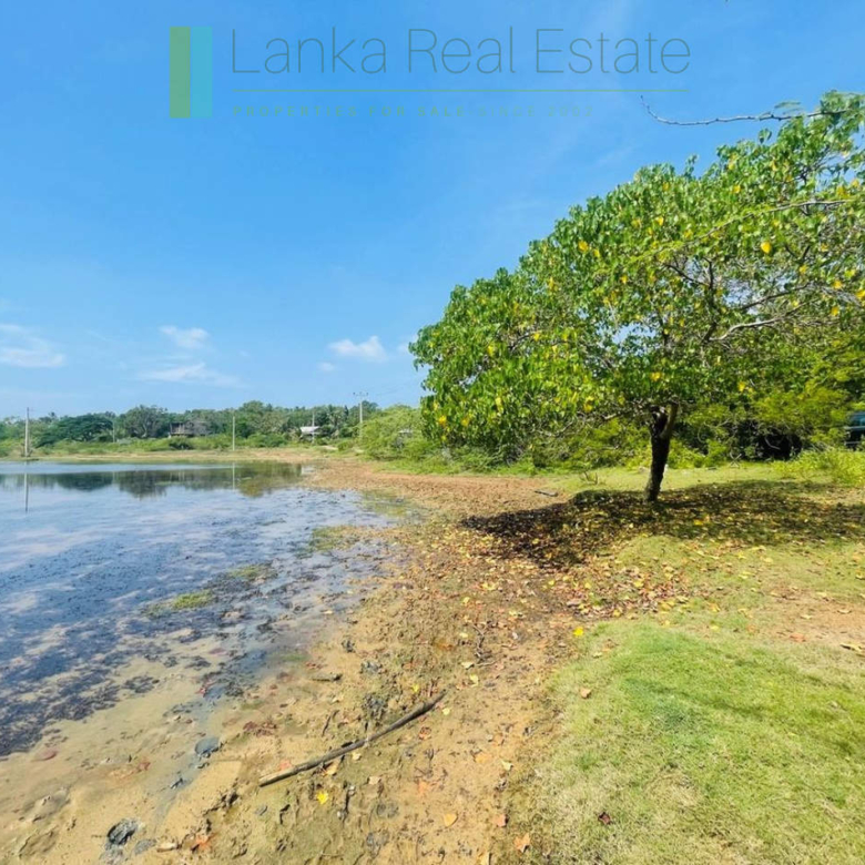 Lakefront plot near Ranna Beach