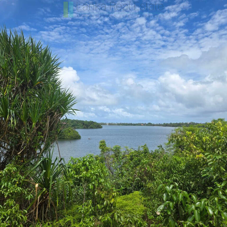 Fifty acre peninsular estate