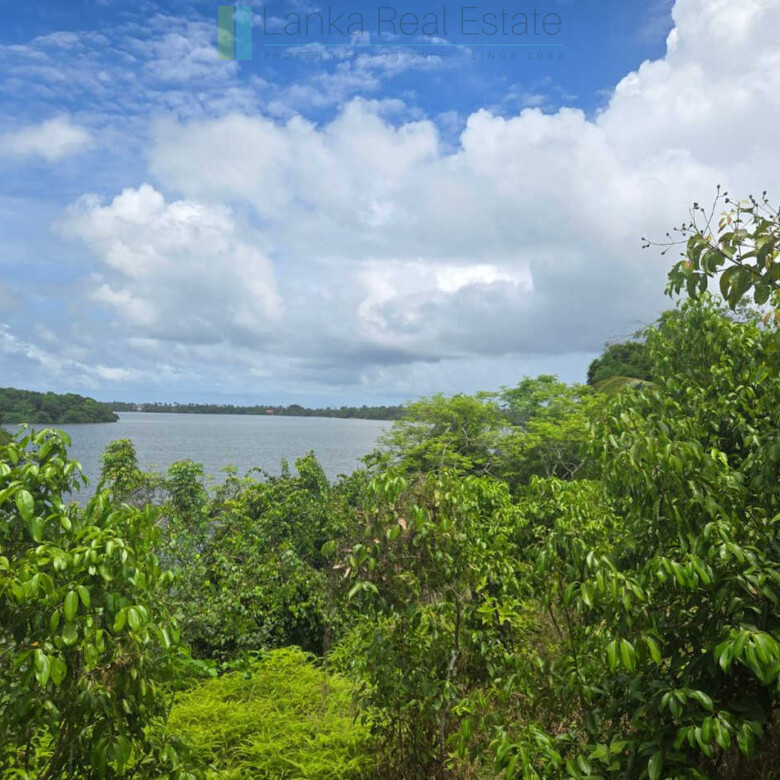 Fifty acre peninsular estate