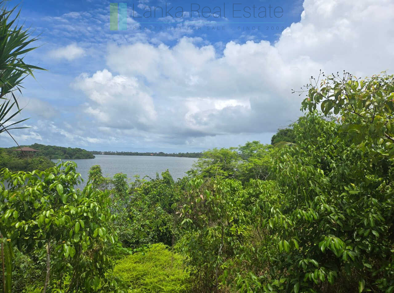 Fifty acre peninsular estate