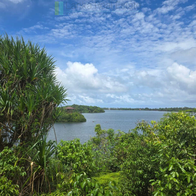 Fifty acre peninsular estate