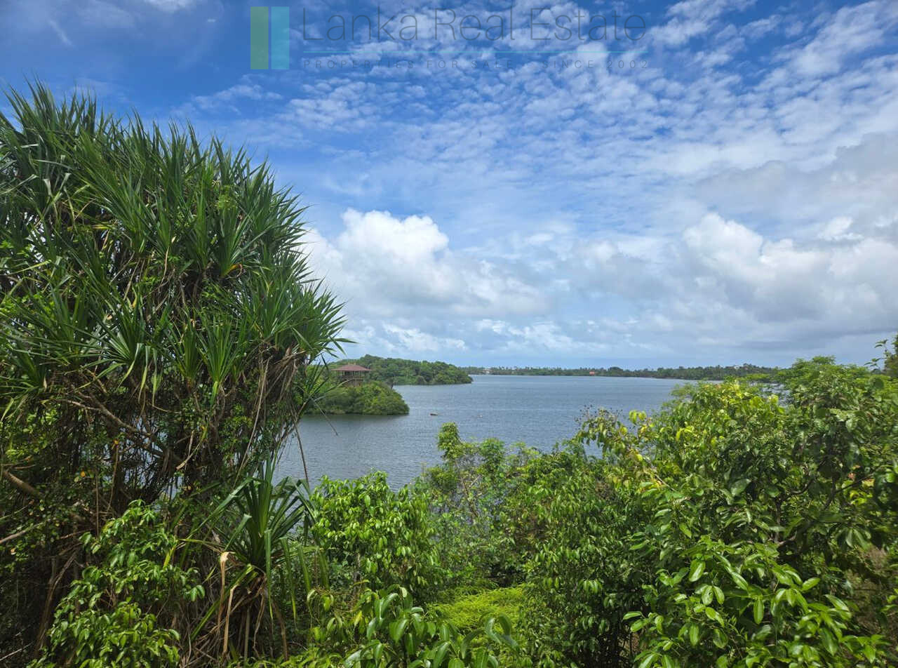 Fifty acre peninsular estate