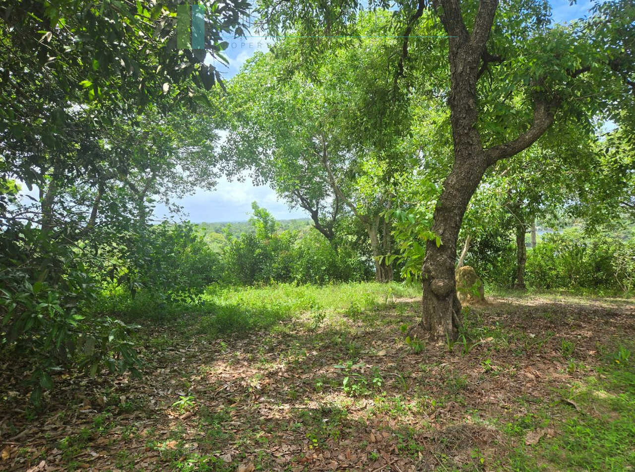 Fifty acre peninsular estate