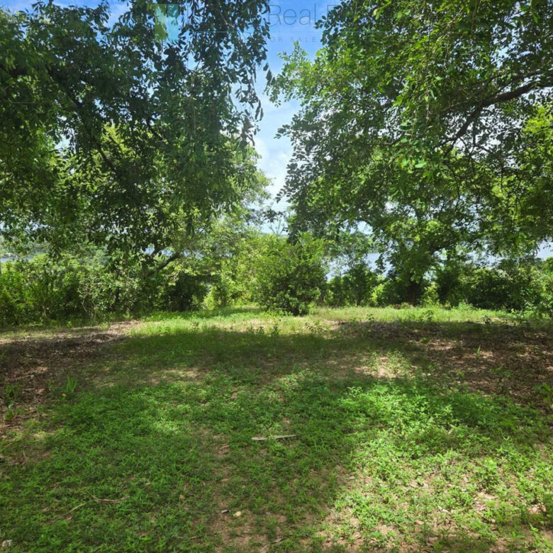 Fifty acre peninsular estate