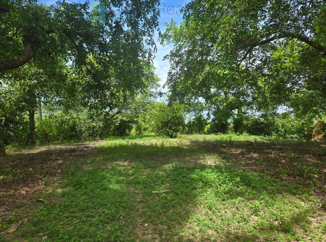 Fifty acre peninsular estate
