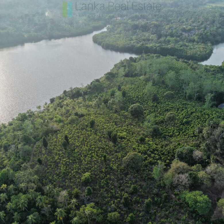 Fifty acre peninsular estate